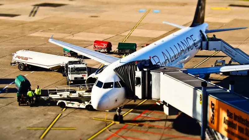 muž joj poginuo nakon stravičnih turbulencija, ona slomila kičmu – sada tuži aviokompaniju