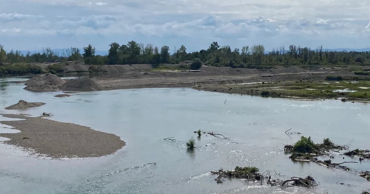 inspekcija utvrdila jedan od uzroka masovnog pomora ribe u savi