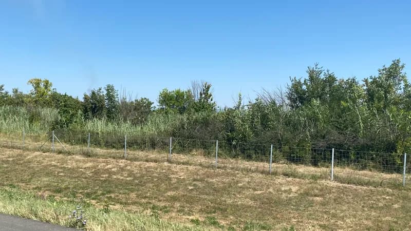 Semberski poljoprivrednici očajni: Više ni kiša ne pomaže, katastrofalne posljedice suše