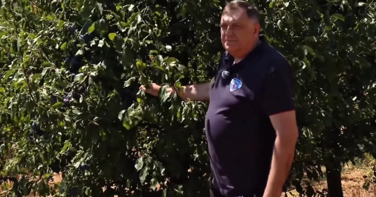 dodik objavio snimak berbe: šljiva simbol blagosti, ali i prkosa