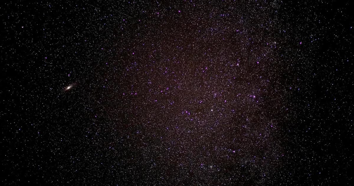IMG_8898
