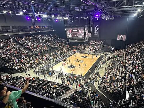 Francuzi pišu: Čuvena dinastija preuzima Asvel