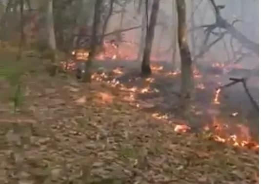Šumski požar kod Sanskog Mosta: Vatrena stihija se i dalje širi