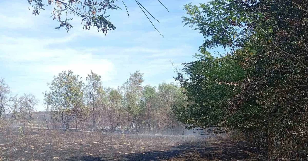 banjalučki vatrogasci intervenisali 15 puta: požari od jutra do večeri