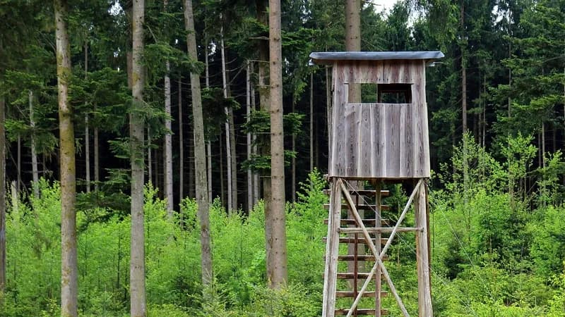 Čeka – mjesto gdje lovac čeka svoj trenutak