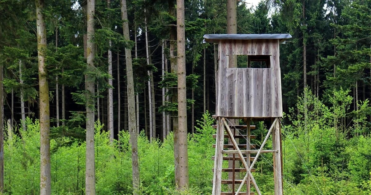 čeka – mjesto gdje lovac čeka svoj trenutak
