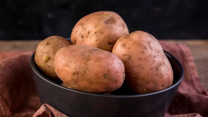 Pregovori počeli, "Lidl" zainteresovan za glamočki krompir