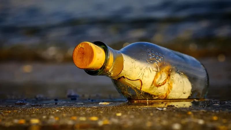 poruka iz boce pronađena i los anđelesu rasplakala sve na redditu