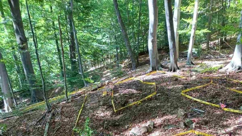 Novo zaduženje "Šuma Srpske": Garant kredita Vlada  RS