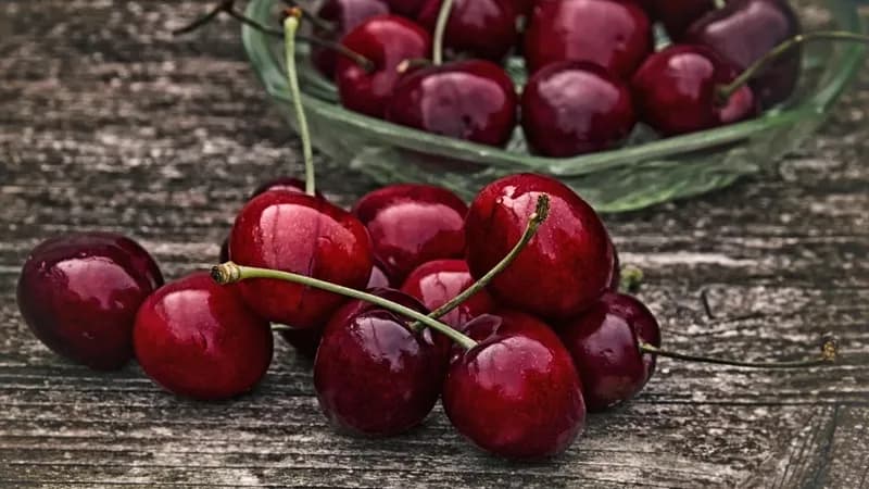 TREŠNJE UVEČE NE GOJE: Evo koliko ih možete pojesti bez bojazni za liniju