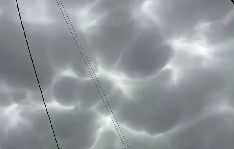 mammatus oblaci