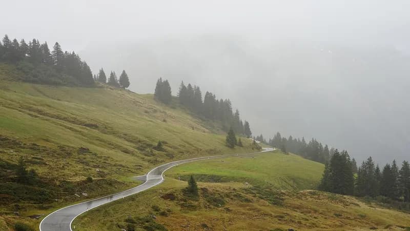 mokar kolovoz