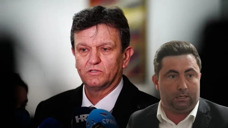 ljubiša petrović