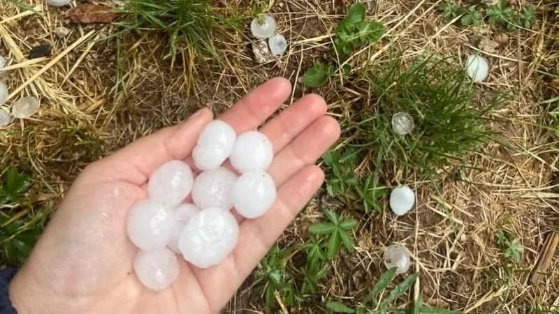 Led veličine lješnika padao u Palama, dio opštine ostao bez struje