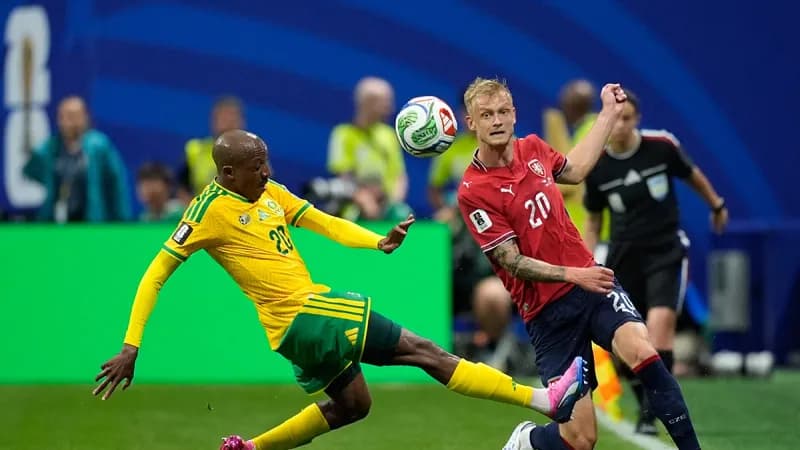 Mršav remi Češke i Južne Afrike