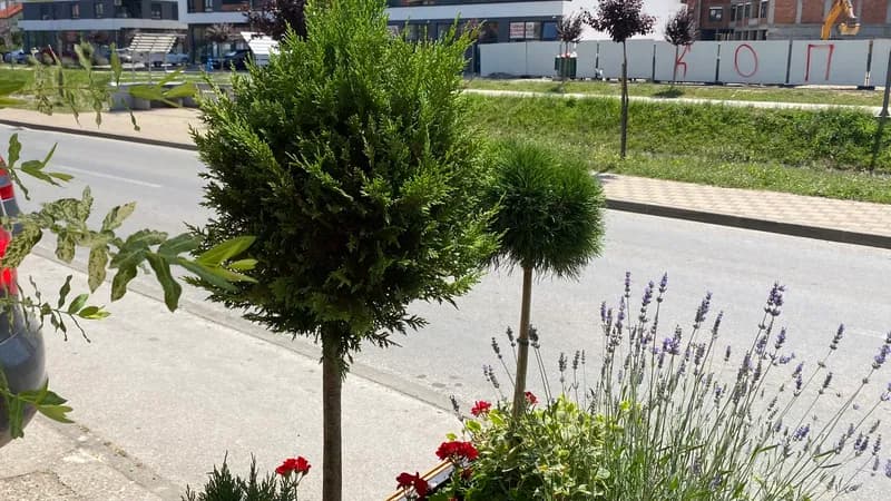 Rekordna vrućina u Republici Srpskoj: Bijeljina i Zvornik ruše sve granice!