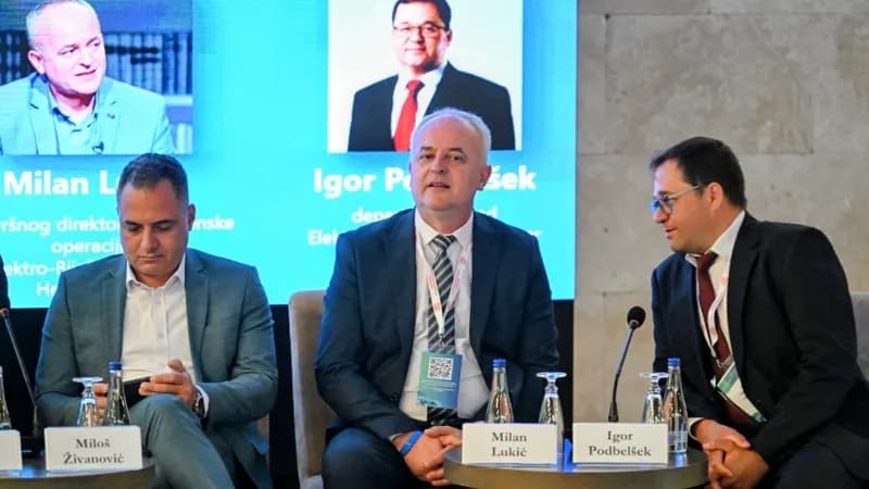 Lukić: Građani će u budućnosti sami moći uticati na visinu računa za električnu energiju