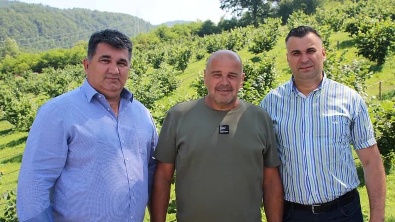 Lopare: Zasad lješnjaka na plantaži porodice Cvjetinović primjer predanog rada