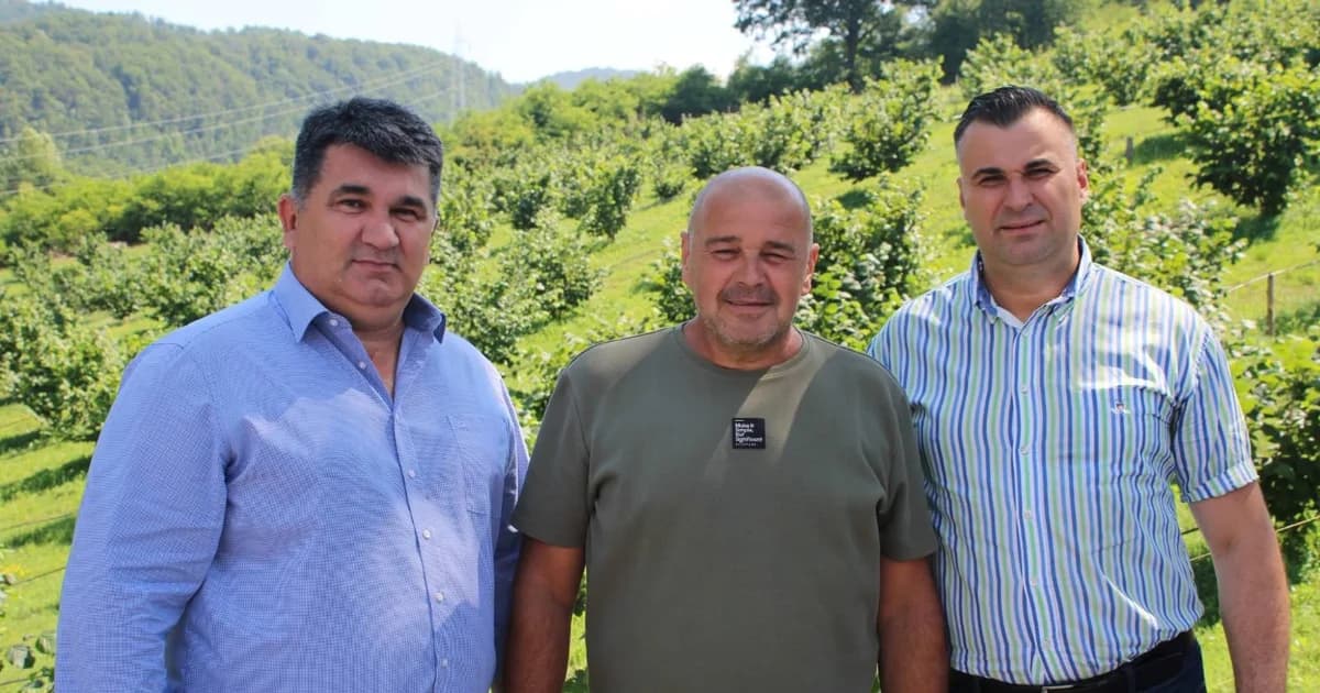 zasad lješnjaka