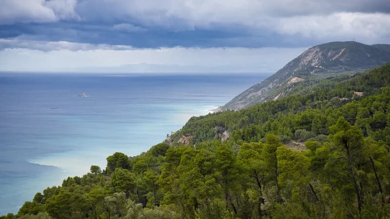 Grčkoj prijete požari: Hitno upozorenje za Halkidiki