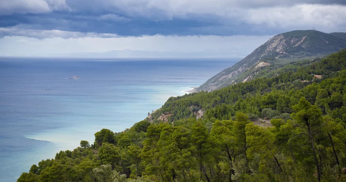 halkidiki požari