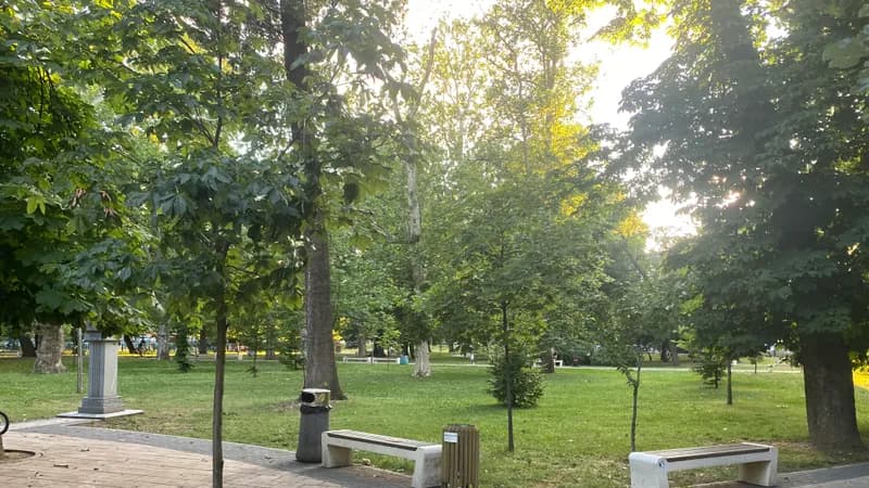 Bijeljina postaje zelenija: Počinje uređenje prostora kod Sokolskog doma 