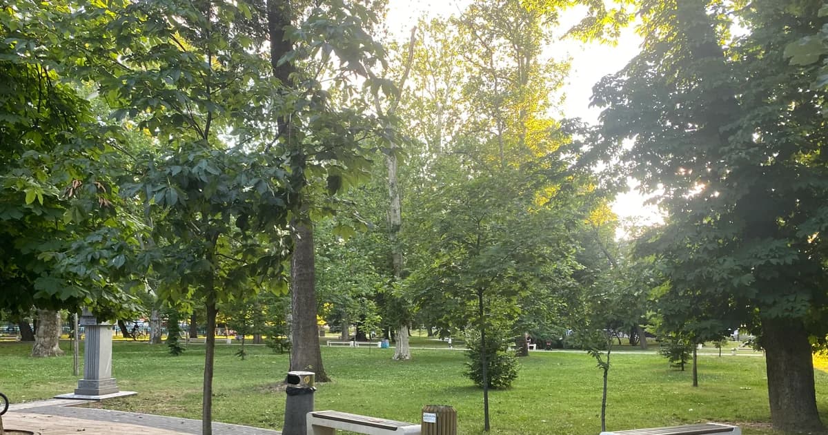 bijeljina postaje zelenija