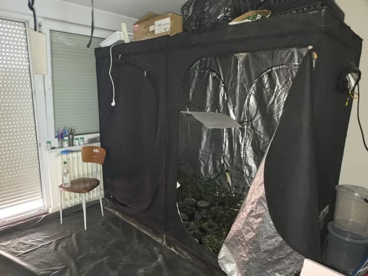 hapšenje akcija sensei