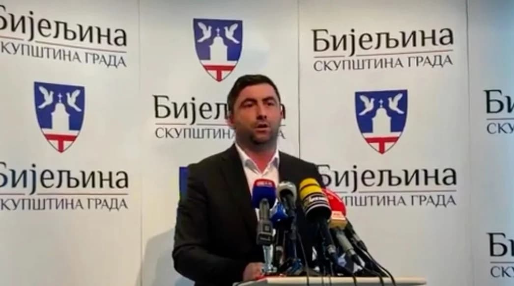 ljubiša petrović
