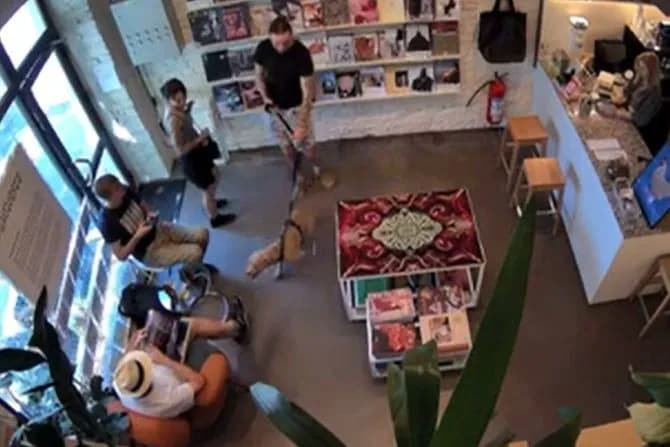 Poznati novinar pretučen u centru Beograda! Napao ga manijak sa pit bulom VIDEO