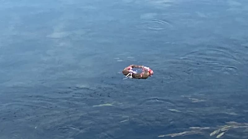 Sutra je Ivanjdan: Ovo su običaji koje treba ispoštovati