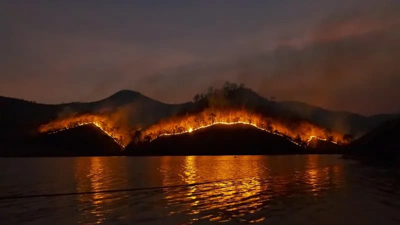 Požar zahvatio plažu Jaz: Veliki plamen uznemirio turiste i mještane