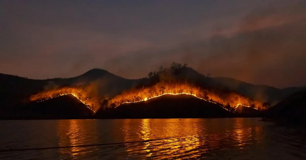 požar zahvatio plažu jaz