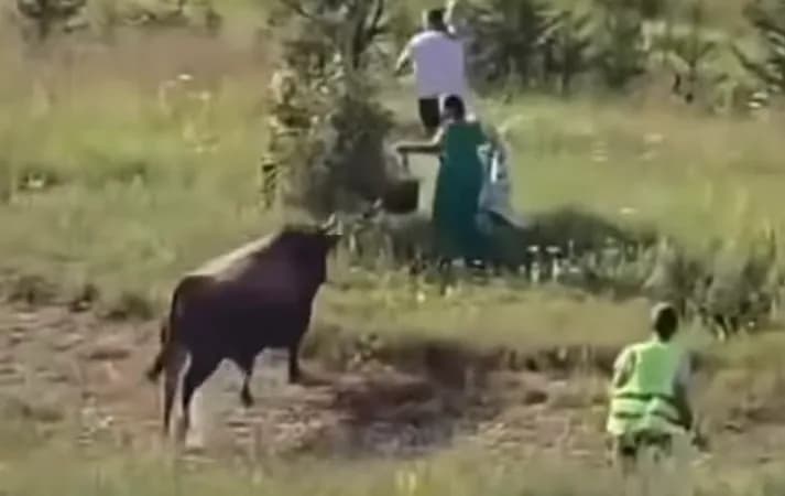 Bik pobjegao iz ringa na koridi na Igmanu: Nastala panika među posjetiocima