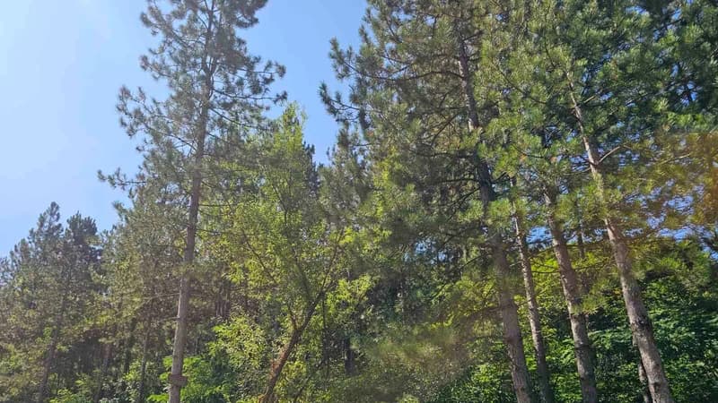 Visoke temperature povećavaju rizik od požara: Apel građanima Ugljevika