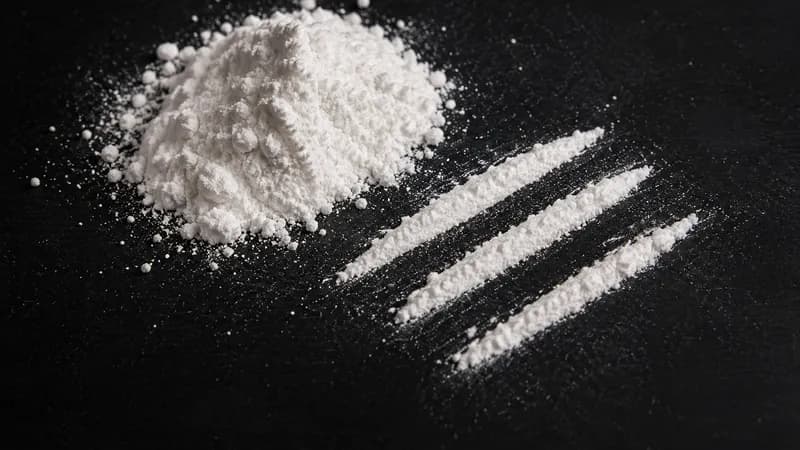 Rekordna zapljena kokaina u Mađarskoj: Policija otkrila 522 kilograma droge