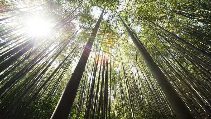 Meteorolozi objavili kakvo nas vrijeme očekuje narednih dana