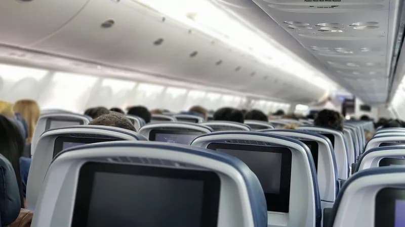Rajaner otkrio uzrok drame sa Srbinom u avionu: Ovo je moglo da izazove katastrofu