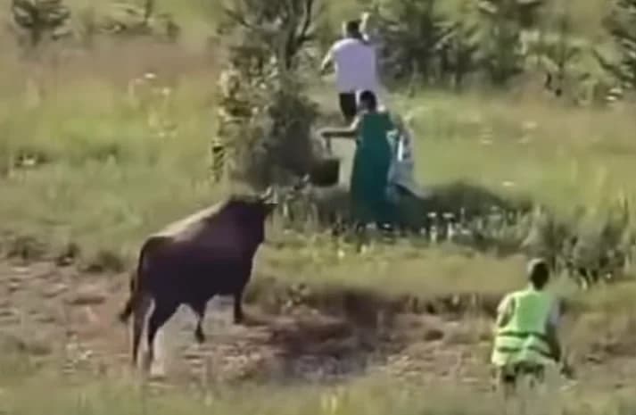 bik pobjegao iz ringa na koridi na igmanu: nastala panika među posjetiocima
